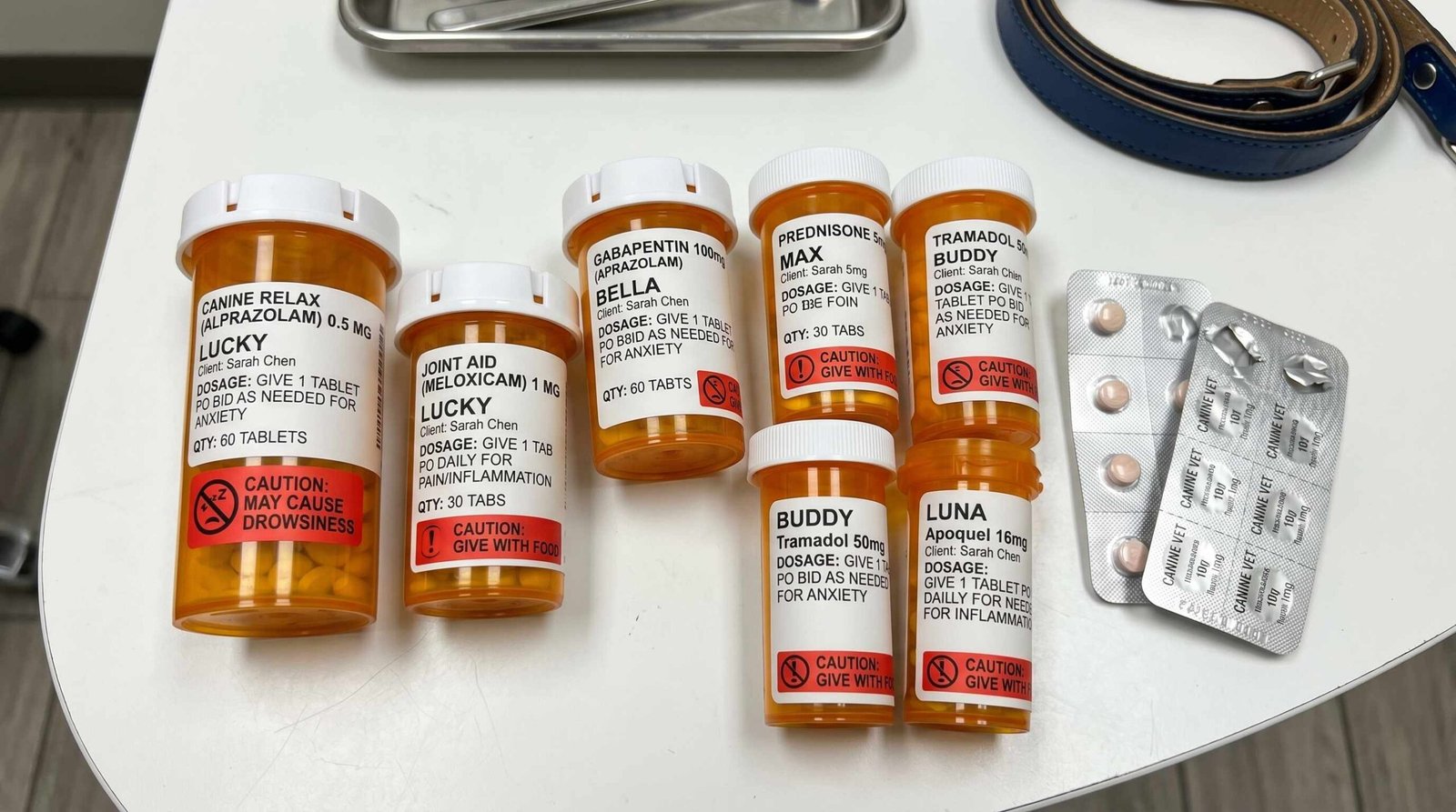 Multiple dog prescription medication bottles illustrating the drug interaction risks when combining trazodone with other medications like tramadol